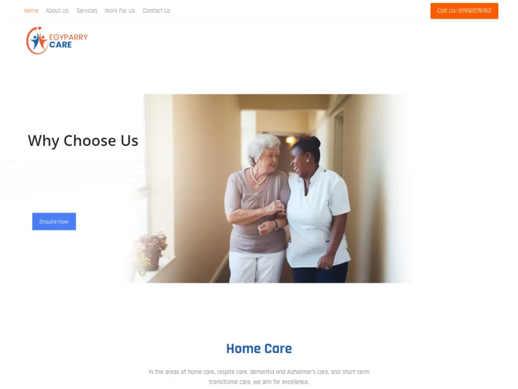 egy parry care website design